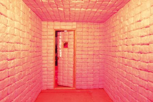 Porn Pics fer1972:  A Padded Cell made of Cotton Candy