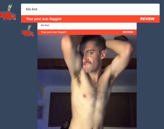 dykeofsuburbia:  kin-bot:  kin-bot:    