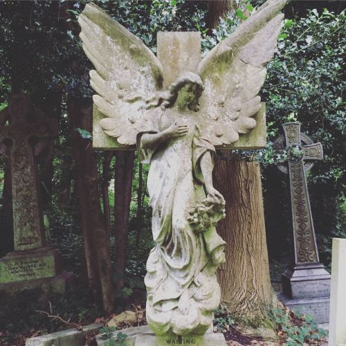 horrorcandybox:  Highgate Cemetery, London. By HorrorCandyBox. 