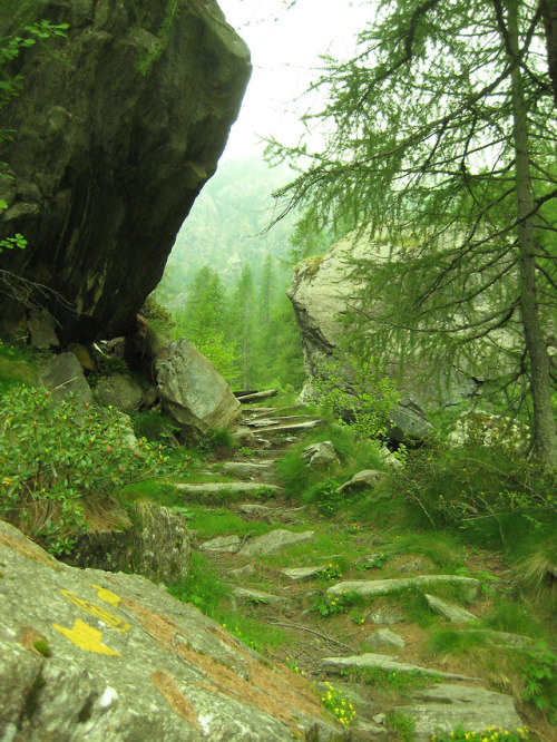 Valle della Legna - Colle Fricolla by Andrea Camoletto