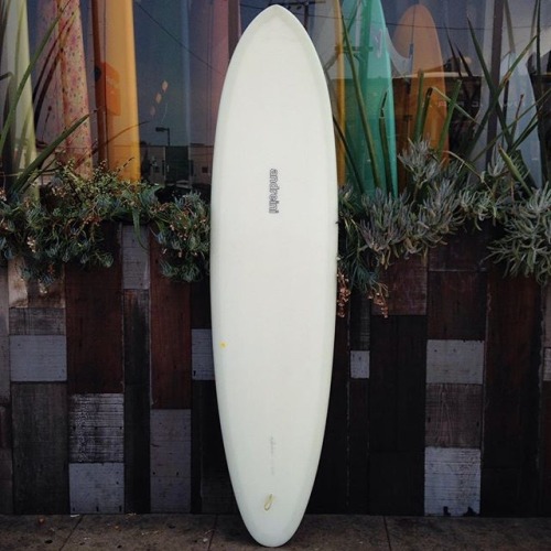 Surf Life