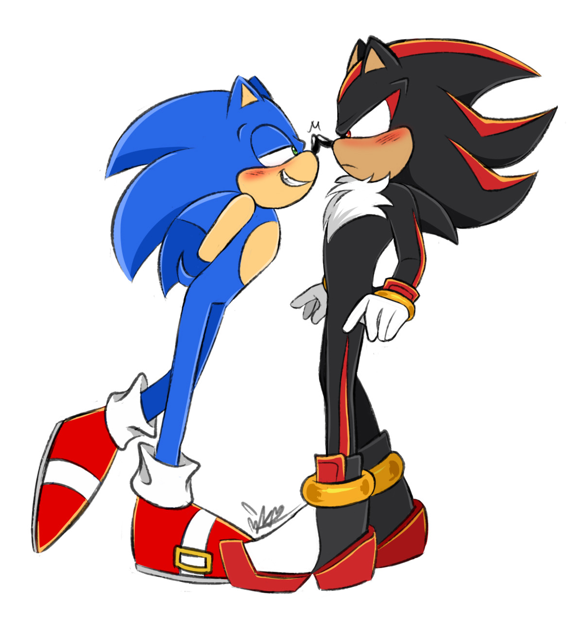 Sonic X Shadow Sonadow💙❤