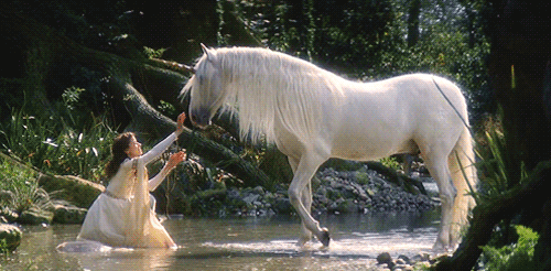 megarah-moon:  “Precious light is protected, harbored in the souls of unicorns,