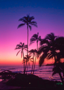 all-day-bikinis:    Kauai sunset, Hawaii  