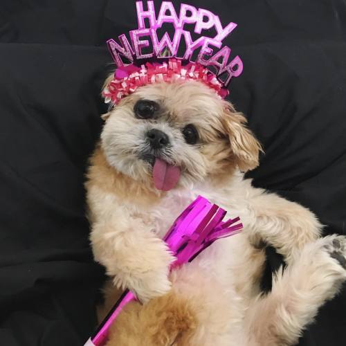 marniethedog:Can u believe it another year