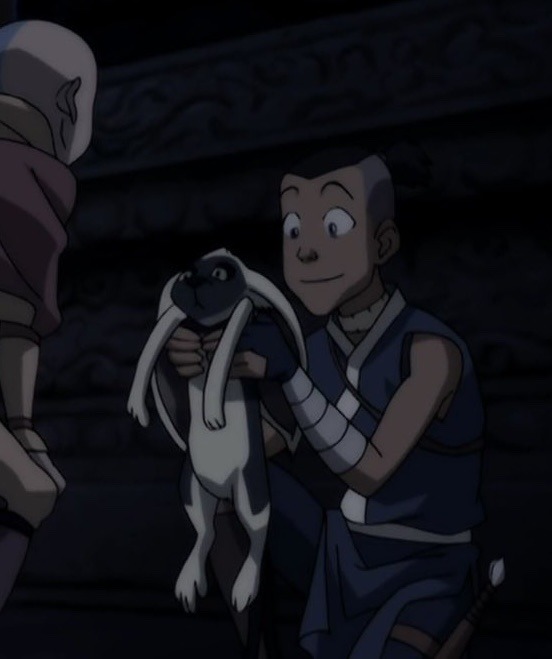 sokka holding momo up under the shoulders, momo hangs there kinda like a cat would