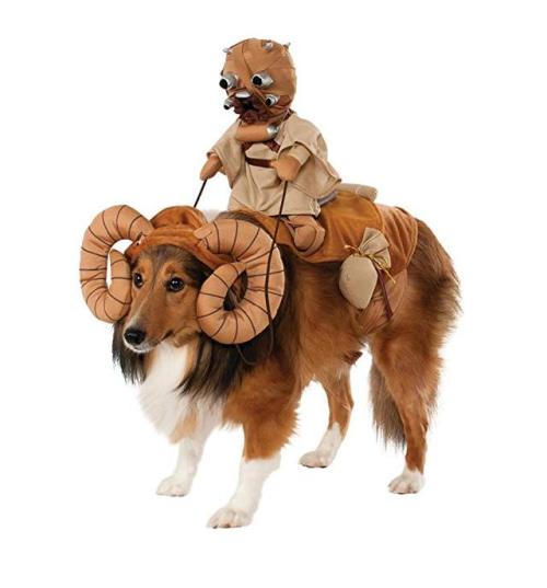 I’ve heard of a border collie, but a bantha collie? Now I’ve heard everything