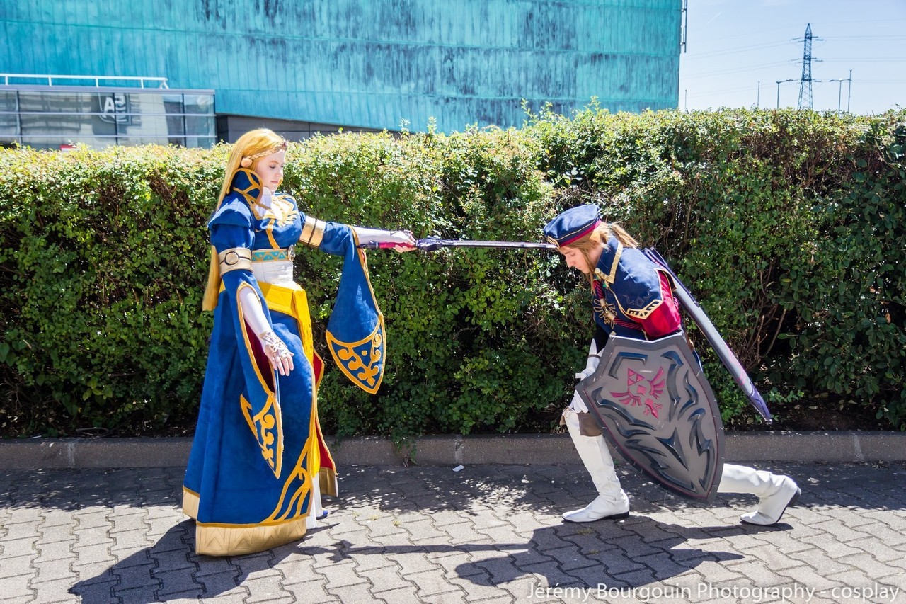 OC] Princess Zelda and Royal Guard Link cosplay [self] :  r/Breath_of_the_Wild