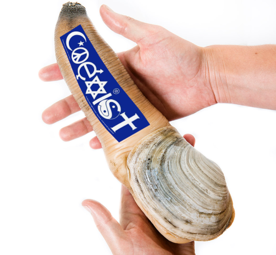 pyomorphic:  gaygothur:   gaygothur:  pyomorphic: coexist bumper sticker on a glock  actually i might have misread the original post   no no this is good   im actually crying