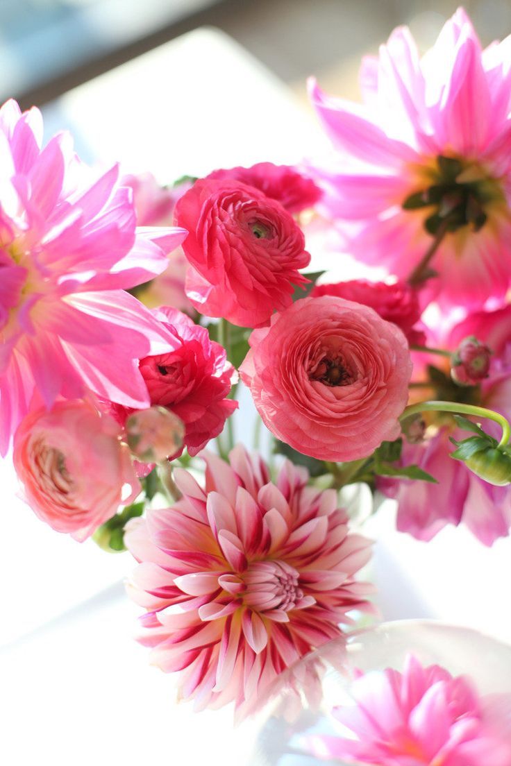 Floral, Floral, Floral