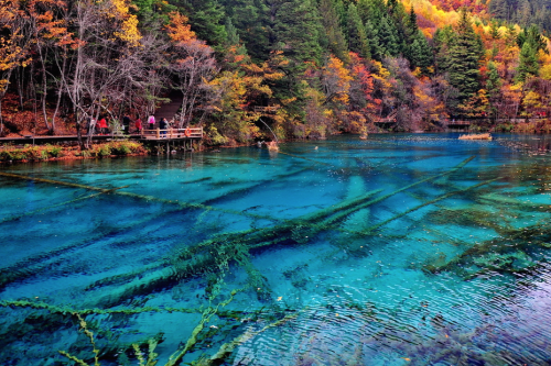 nubbsgalore:photos from jiuzhaigou, china of wuhua hai, which translates as five flower lake. its co