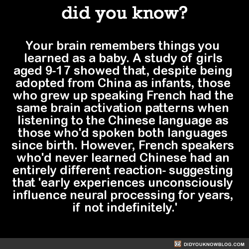 did-you-kno:  Your brain remembers things you  learned as a baby. A study of girls  aged 9-17 showed that, despite being  adopted from China as infants, those  who grew up speaking French had the  same brain activation patterns when  listening to the