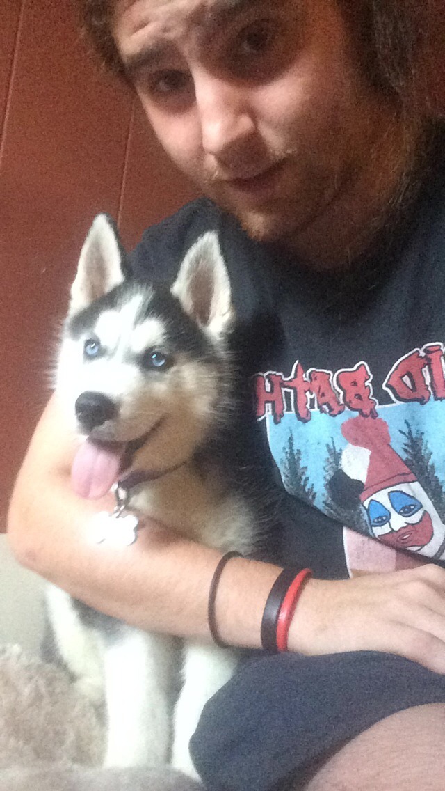 Husky selfies from this weekend.