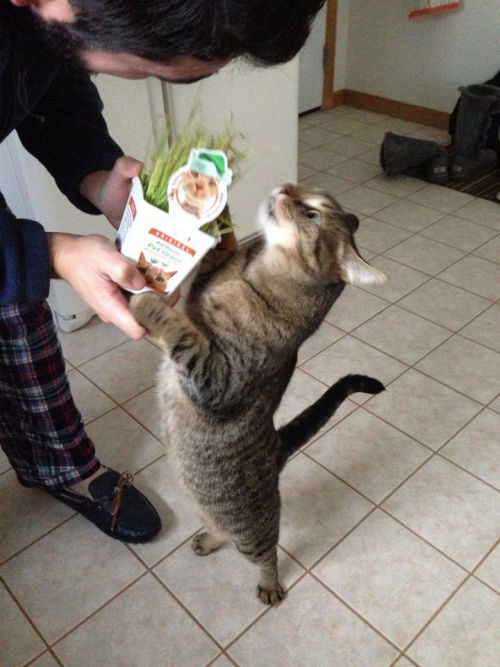 awwww-cute: Oh my god! Are you sure this is for me? (Source: http://ift.tt/1PSdQAb) 
