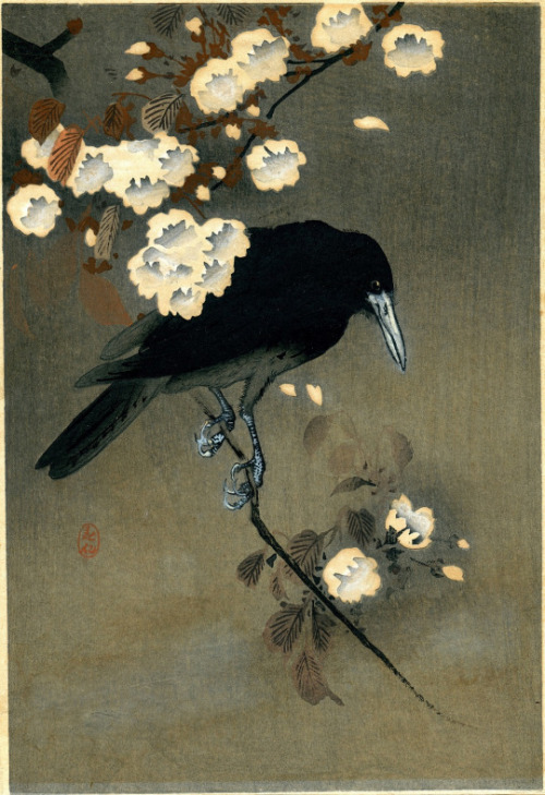 silenceformysoul:Ohara Koson (1877-1945)  - Crow and Blossom, c. 1910  