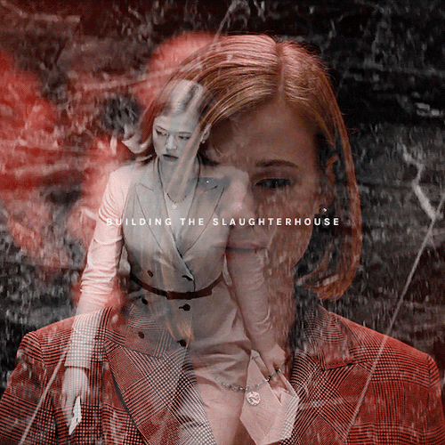 —notes On Self Destruction