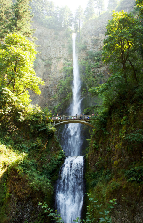 Multnomah Falls, Oregon (by katie ruthh)