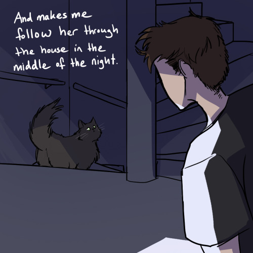 herzspalter:A little story about my cat.These were originally slightly animated gifs, but tumblr but