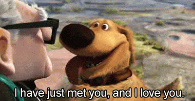 dietcoc-k:  when someone new goes through my blog and spams my activity with likes and reblogs  