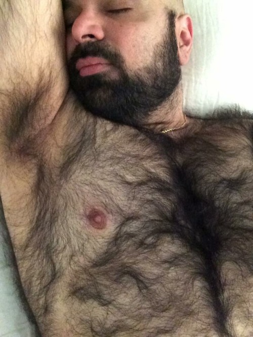 Would love to rub my beard up against his anytime, and to run my fingers through his exceptionally hairy body.  WOOF