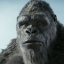 gorillageek27