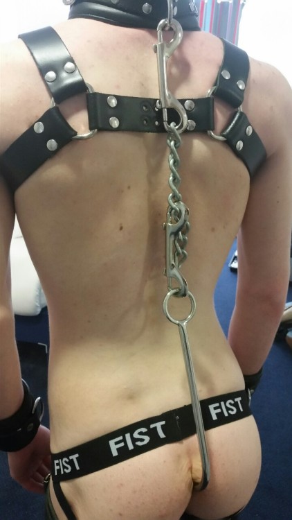 djaam-white:  gayboykink:  … and if he still doesn’t behave, you just tighten the chains a notch.   white slavery is fair