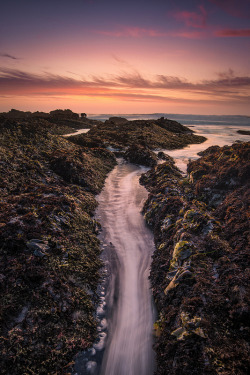 naturalsceneries:  Rising tide flowing through rocks at sunset in Pescadero, California Source: elmofoto (flickr) 