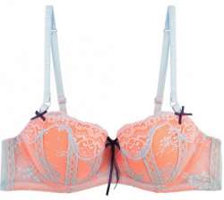 placedeladentelle:  Heidi by Heidi Klum Intimates