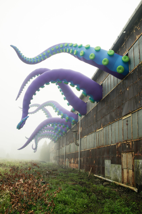 escapekit:  Sea Monsters HERE UK-based artists Filthy Luker and Pedro Estrellas have created twenty inflatable tentacles extended from the roof and several windows of a two-story warehouse in Philadelphia’s Navy Yard. The purple tentacles range from