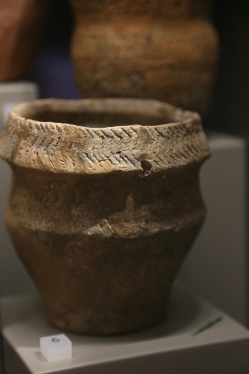 Prehistoric Beakers Set 2, Wiltshire Museum, Devizes, 20.2.16.