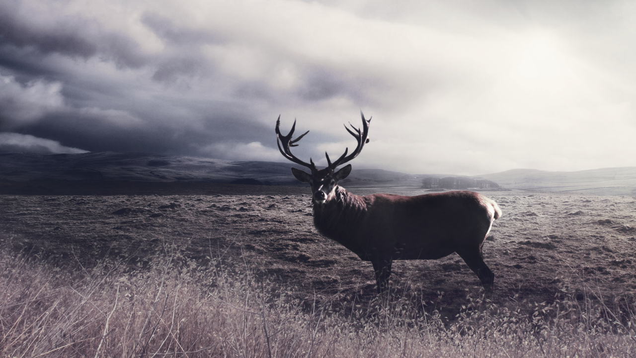 jave-the-13:  some photomanipulations. I don’t know yet if uploading to my deviantart
