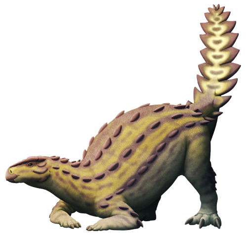 alphynix: While some ankylosaurs are famous for their specialized tail clubs, Stegouros elengassen h