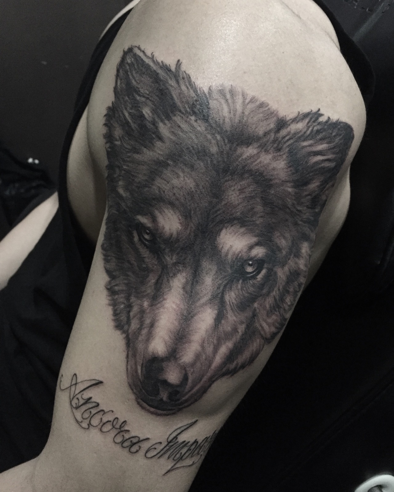 neo tribal tattoo design of a wolf