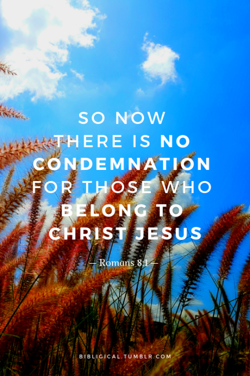 bibligical:So now there is no condemnation for those who belong to Christ Jesus.— Romans 8:1