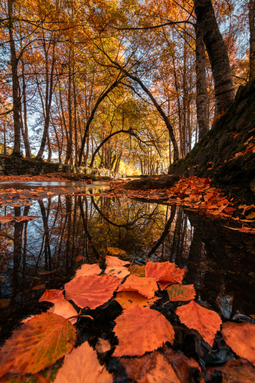 beautifulklicks:  My Autumn Hugo Só 