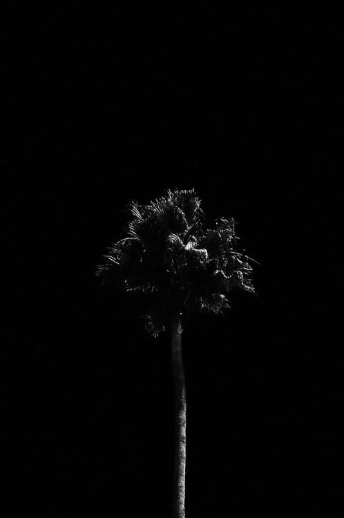 is2daytuesday: Julien Roubinet photography Instagram