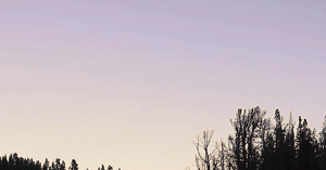 tumblr_pbezn8QJRg1qan9upo1_400.gifv