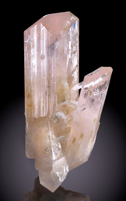 bijoux-et-mineraux:  Pink Danburite -  Charcas, Mun. de Charcas, San  Luis Potosi, Mexico  