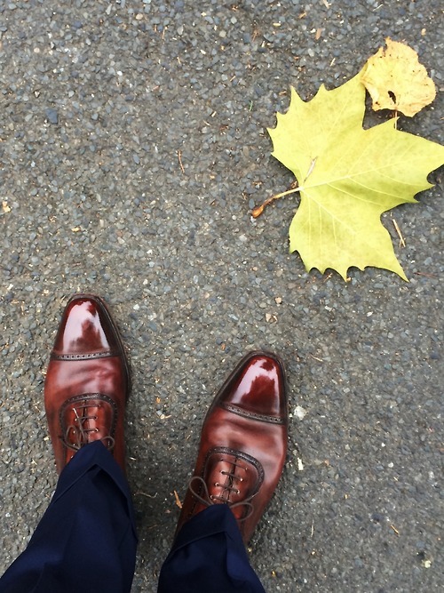 chriscrat:
shoedandy:
Mr.Dandy：C&J For Autumn
Please feel… http://thesnobreport.tumblr.com/post/97326132817