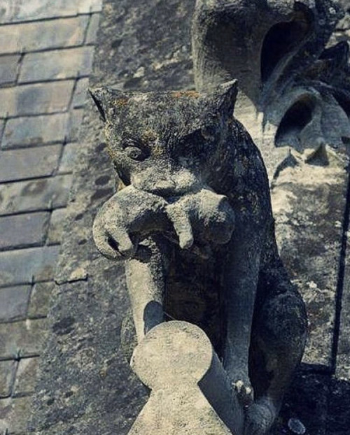 Cat & Kitten Gargoyle, Chteau De Pierrefonds, France, Built Between 1857-1885
