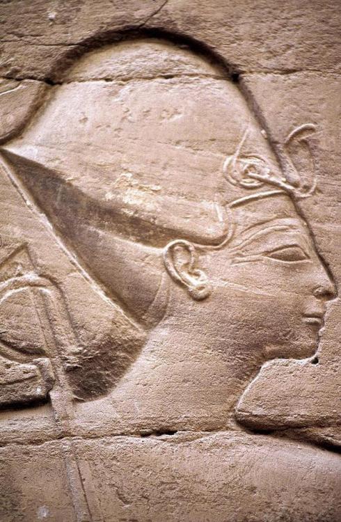 Relief depicting Ramesses II “the Great”, detail from the south west wall of the Hyposty