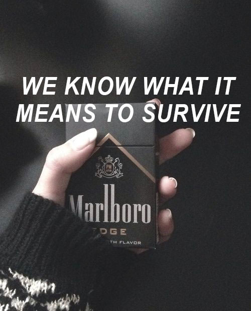 Octavian - Party Here 