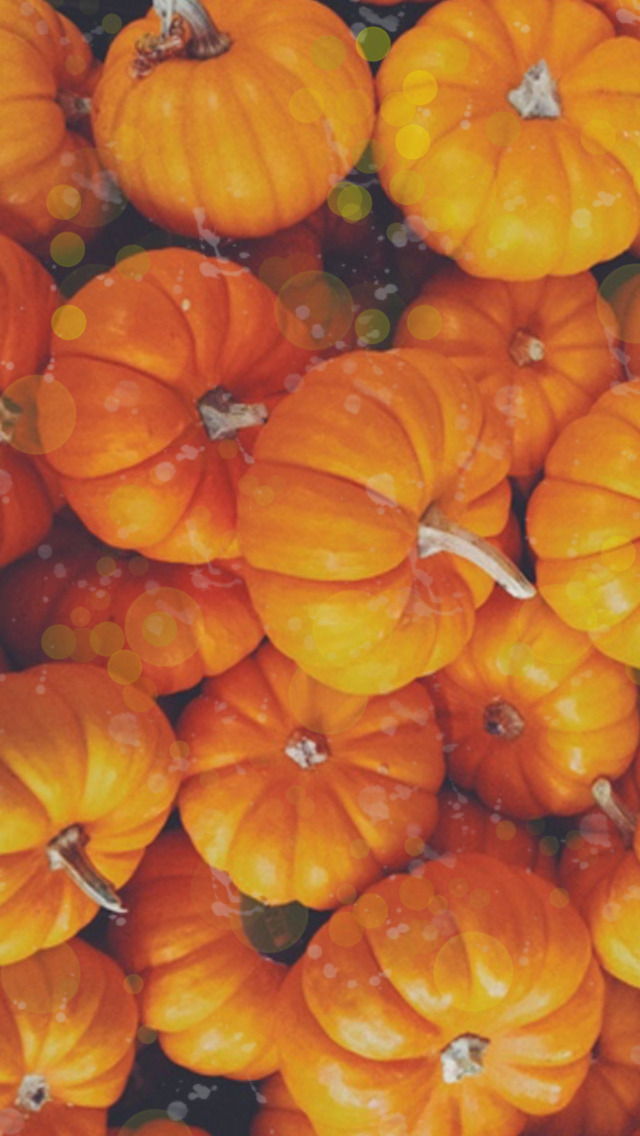 phone-wallpapers-heaven:  Falling for the Autumn /Lockscreens/  
