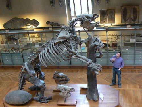 Behemoths of the ancient past&hellip;and future?One thing that many known prehistoric creatures have
