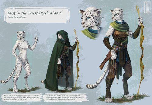 Character sheet commission of a wonderful tabaxi ranger! 