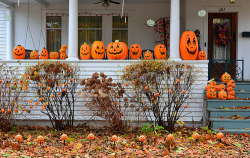 iluvhalloween:  Pumpkin Jacks Collection by: timmerschester 