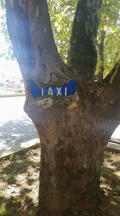 abandonedandurbex:Old taxi sign [800x1440]