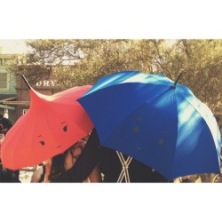 disneypixar:  Spotted at @Disneyland, The Blue Umbrella. #DapperDay 