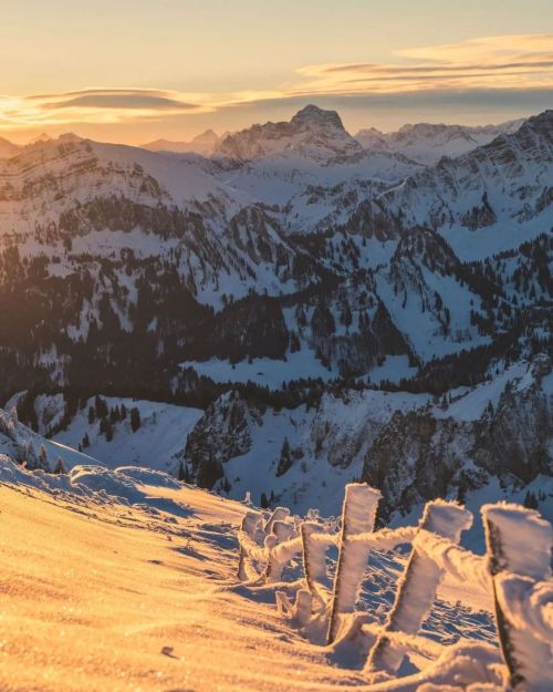 Ein herrlicher Wintermorgen im Bregenzerwald in Vorarlberg © @michaelmeusburger  #weloveau