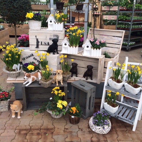 bumblekid:  went to a greenhouse today // ig: heijlken